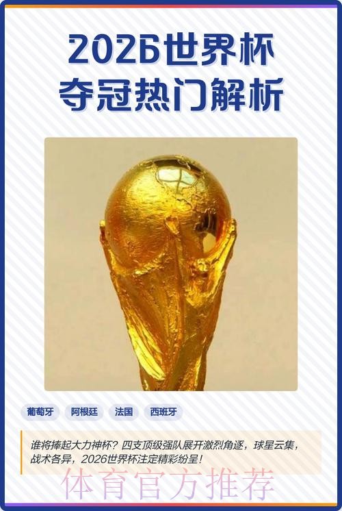 2026世界杯投注哪个好热门